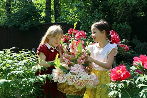 Ученики